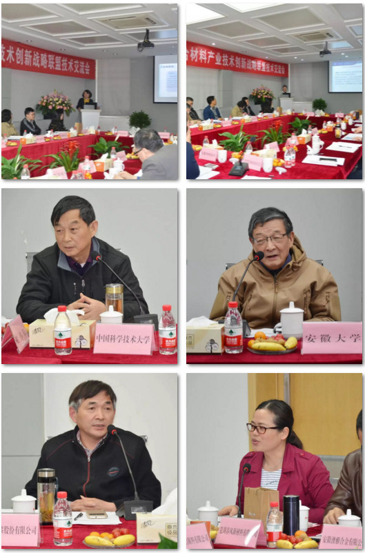 安徽省金属浆料(粉体)高分子复合材料产业联盟技术交流会